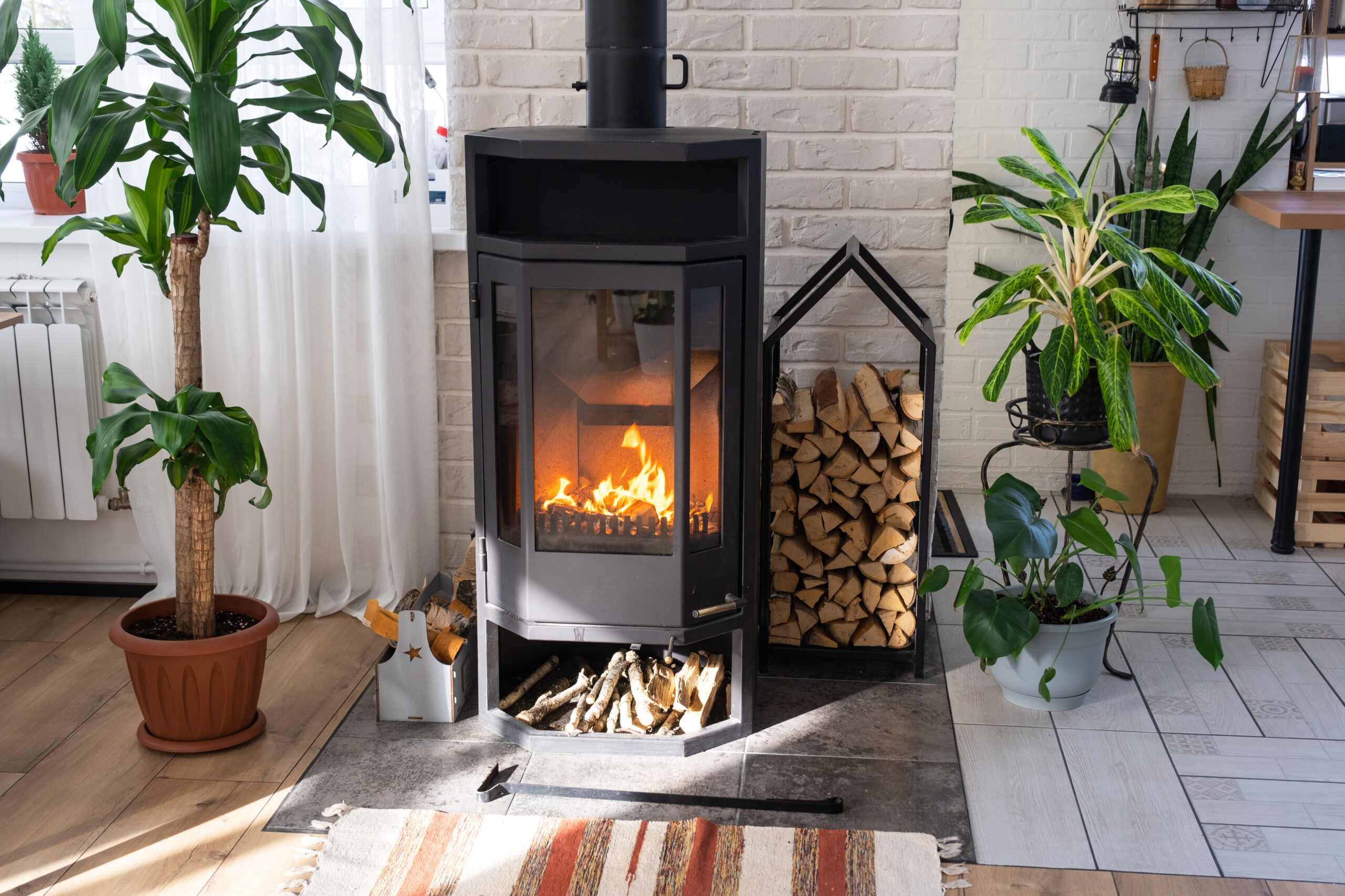 Black Metal Steel fireplace stove with fire and firewood in green home with indoor plant in flower pot in village house. Cozy home hearth in interior with potted plants